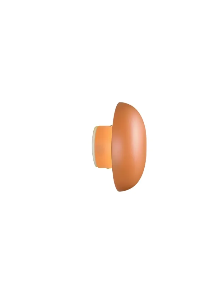 Reality Leuchten Wandleuchten<Wandleuchte DAVEY in apricot