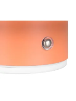 Reality Leuchten Wandleuchten<Wandleuchte DAVEY in apricot