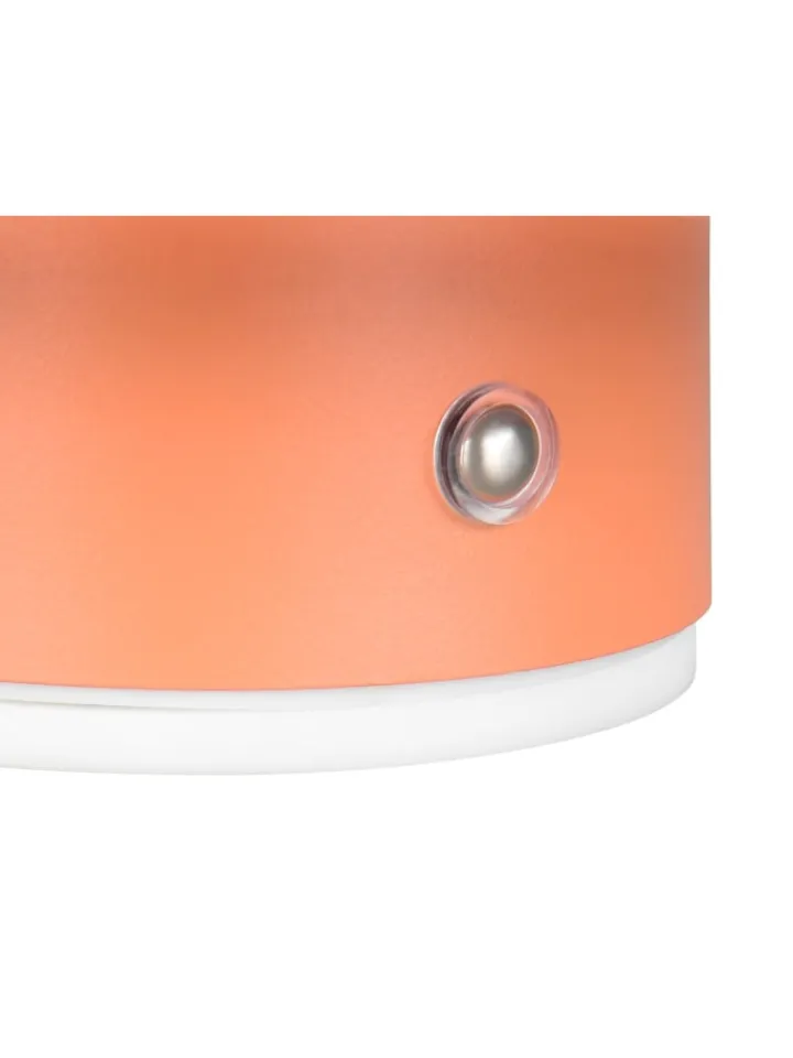 Reality Leuchten Wandleuchten<Wandleuchte DAVEY in apricot