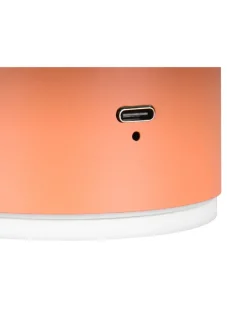 Reality Leuchten Wandleuchten<Wandleuchte DAVEY in apricot