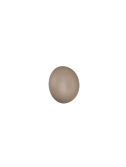 Reality Leuchten Wandleuchten<Wandleuchte DAVEY in warm beige