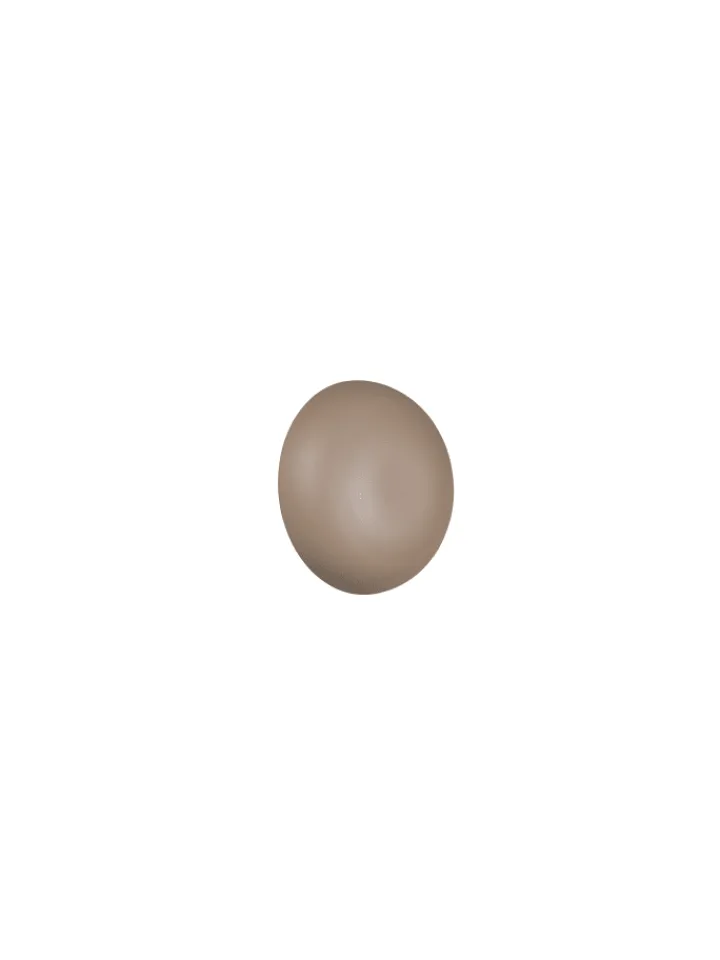 Reality Leuchten Wandleuchten<Wandleuchte DAVEY in warm beige