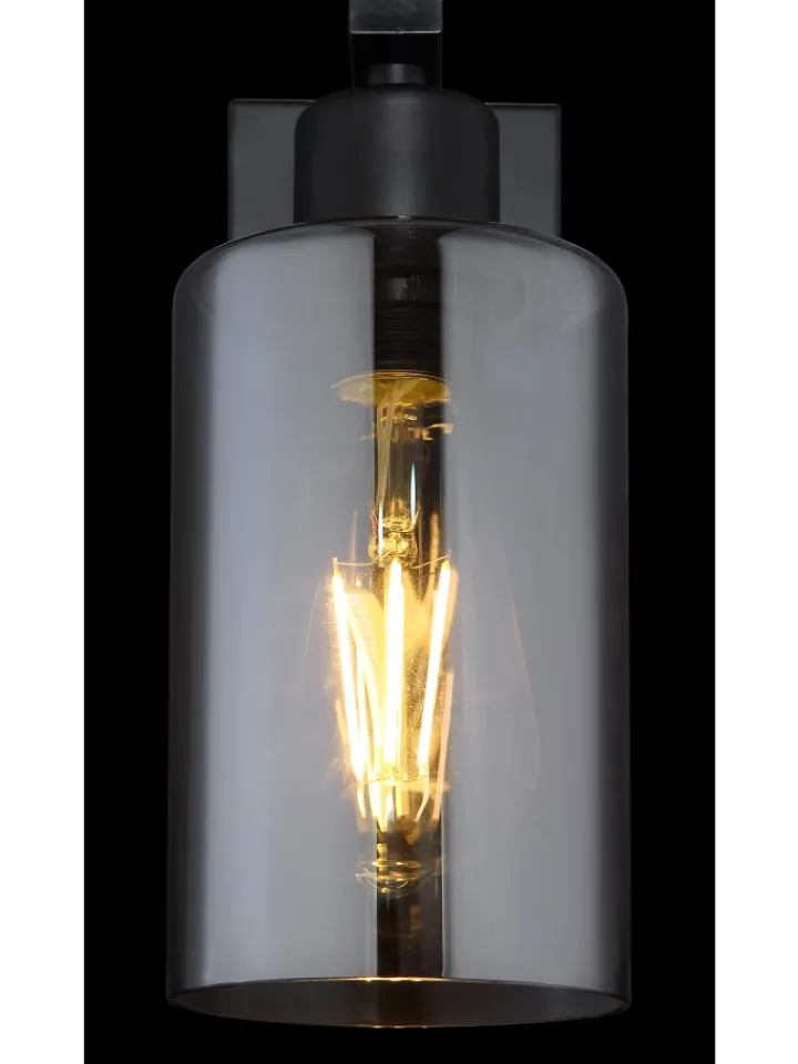 Globo lighting Wandleuchten<Wandleuchte "HADERA" in black