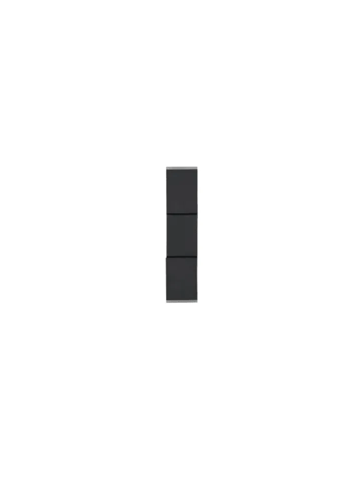 Trio Leuchten Wandleuchten<Wandleuchte RAGLAN in schwarz matt