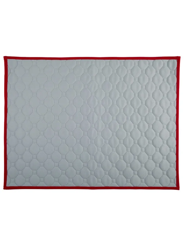Edco Hunde<Welpen-Trainingsmatte in Grau - (L)60 x (B)45 cm
