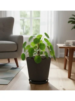 relaxdays Pflanzen & Zubehör<2x Blumentopf in Dunkelgrau - (H) 20 x Ø 20 cm