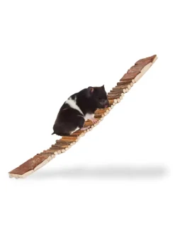 relaxdays Kleintiere<3x Hängebrücke in Natur - (B)55 x (T)10 cm